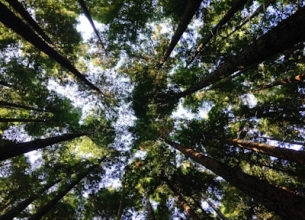 Servicio de alambrado rural