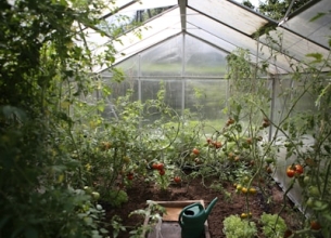 Molino de viento con tanque