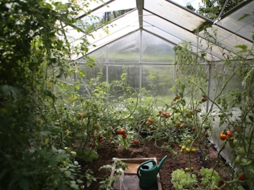 Molino de viento con tanque
