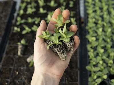 Herbicida glifosato 20 litros